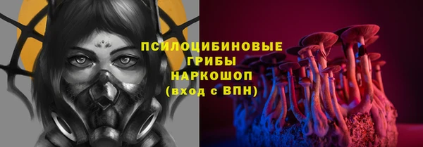 амф Бугульма