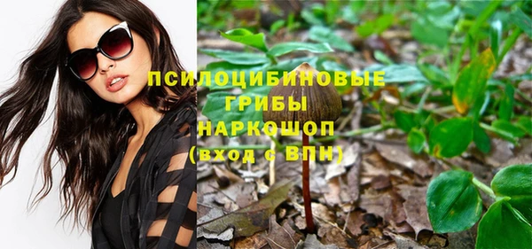 амф Бугульма