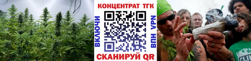 ТГК концентрат Кострома