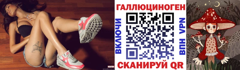 Галлюциногенные грибы Psilocybe  Кострома 